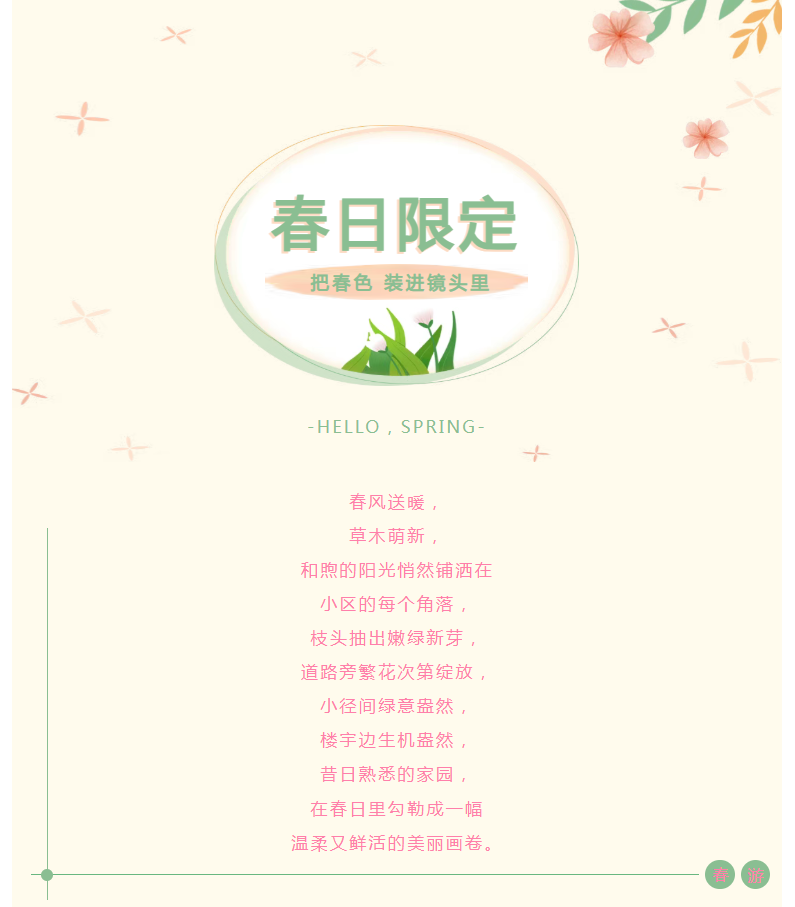 陽光服務 | 一草一木皆用心，細微之處見溫情。